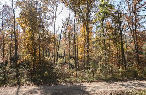 Oak Hollow - Foto 44