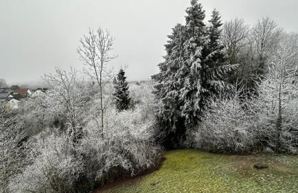 Ferienwohnung Heideberg 2 - Foto 3