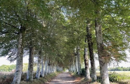 Kermaria Bois D Amour Apartment - Photo 26