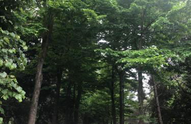 Riva dei fiori - Foto 32