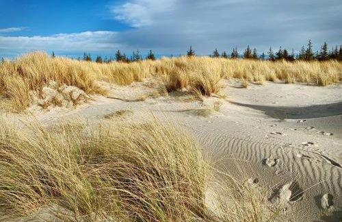 Am Kranichland - Foto 18