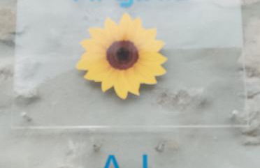 Casa Virginia - Foto 4