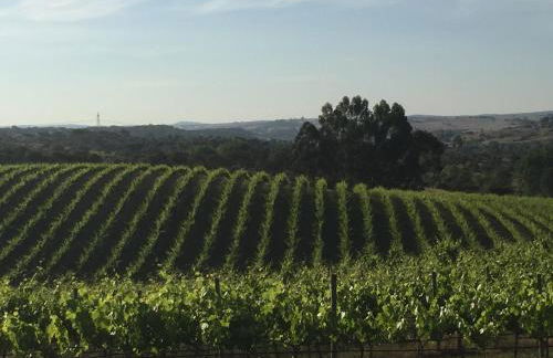 Herdade do Gamito - Foto 12