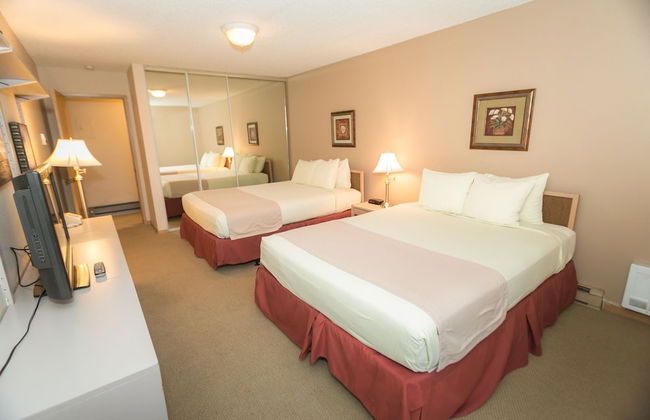 The Grey Gull - Foto 7