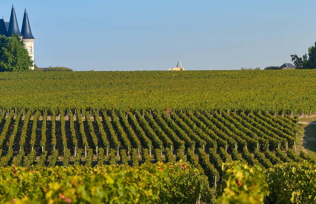 Medoc Wine Tour - Photo 6