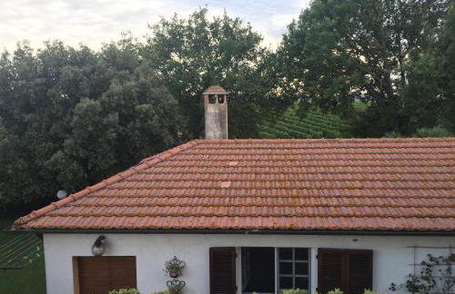 Agriturismo La Carletta - Foto 48