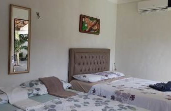 Flor de cacto - Foto 7