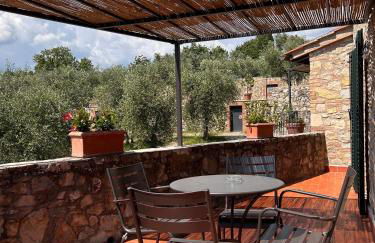 BORGO A MONTI di Sotto - Foto 14