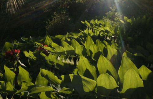 The Hidden Mill, Historic Beauty Spot and spa - Photo 29