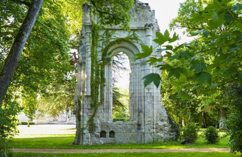 Château du Loroux - Photo 11