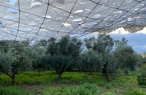 RIQIONIAN House - Foto 10