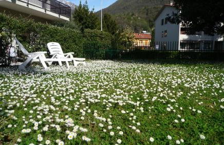 Il girasole - Foto 21