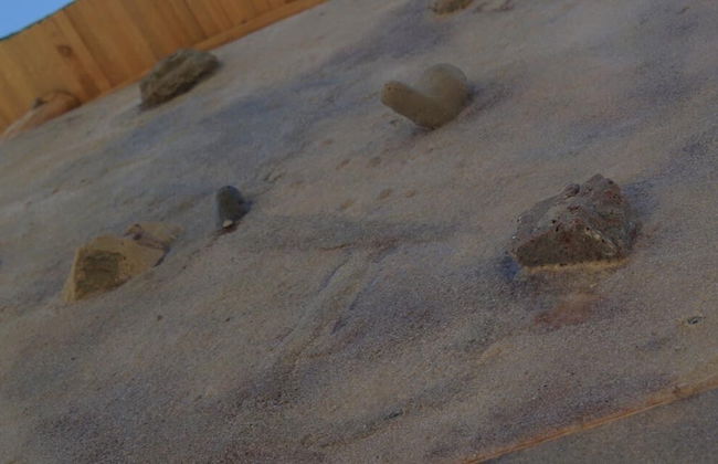 Ferienhof Berghof - Foto 56