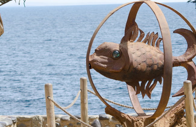 Excursion à l'île Noire, Algarrobo et Quintay - Photo 6