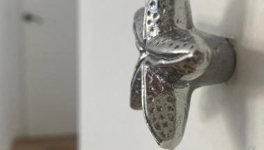 Mas Pinell Piscina - Foto 3