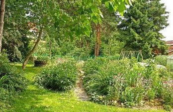 Dom Pod Złotym Bażantem - Foto 3