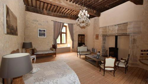 Castle 12th century with private pool close to Agen - Foto 2