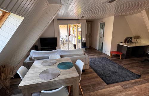 Joli 2 pièces, avec climatisation et grande terrasse, vue sur les toits, zone piétonne - Photo 1