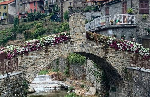 Little Home - Foto 21