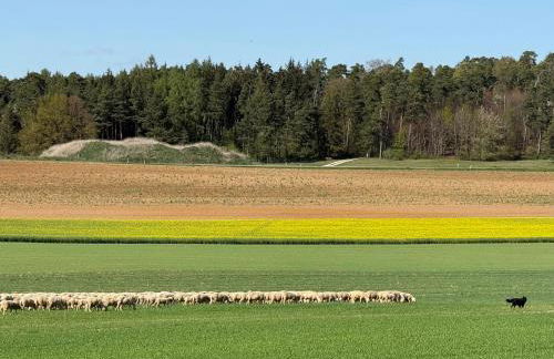 Ferienwohnung Osterfuchs - Foto 16