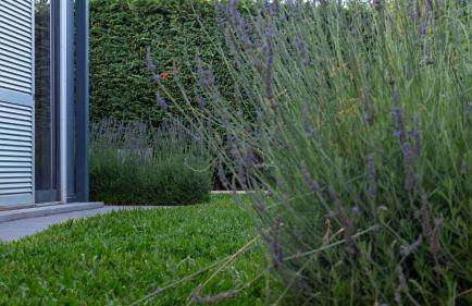 The Jolie - A Retreat in the City in an Entire House - Foto 21