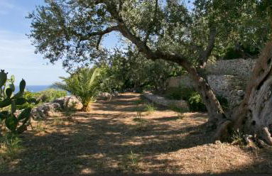 Villa Le Terrazze plus Pool - Foto 44