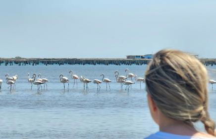 Masos Bruguera - Finca Llambrich - Foto 22