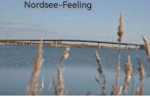 Ferienwohnung Nordsee-Feeling - Foto 20