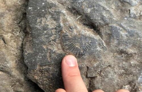 Paradise Island escape Riverfront in Clay, NY - Foto 52