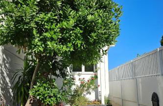 Le Jardin 28 - Foto 36