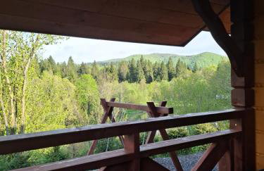 Mały Domek DOMARKA w BIESZCZADACH - Foto 7