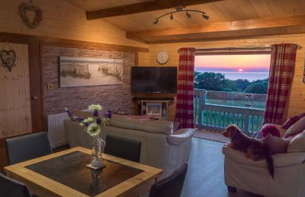 Enlli Fach cabin sleep's 2 adults and 2 children 2 dogs welcome not suitable for contract workers due to parking height restrictions - Photo 8