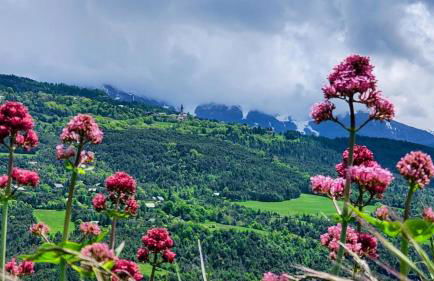 Studio tout équipé, piscine chauffée, départ skis aux pieds - Photo 15