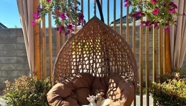 Domki Krasne Morze - Foto 5