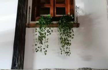 El invernal de Vilabela - Foto 6