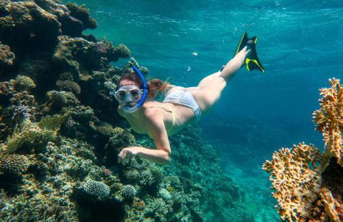 Luxury House with Movie Theater - Foto 65