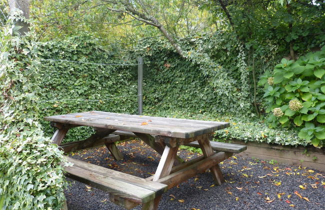 La Guguenaie - Foto 17