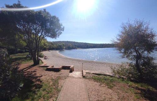 Apartment Dalia - Foto 8