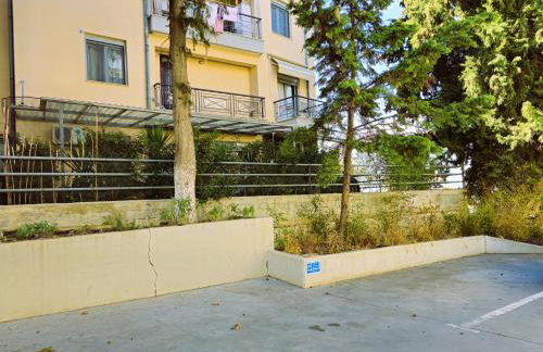 Pilea Comfy Home - Photo 37