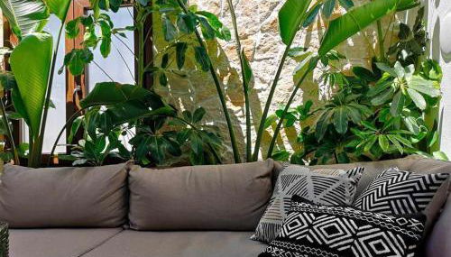 Casa Rural Albireo, rebosante de luz y naturaleza - Foto 4