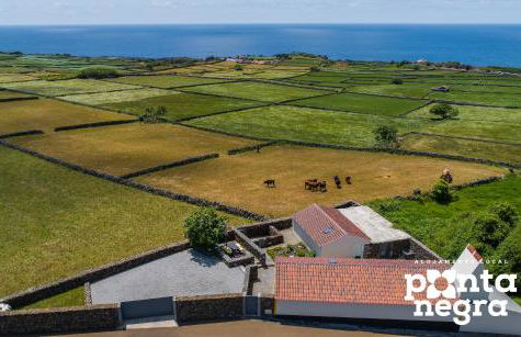 Recanto das 5 by PontaNegraAzores - Photo 43