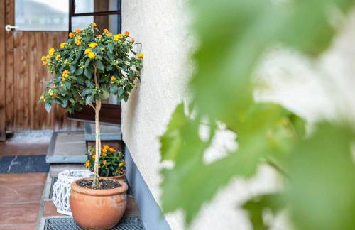 Komfort Apartment Römersberger - 6 - Foto 26