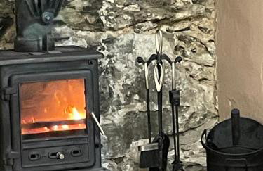 Red Dragon Cottages nr Mt Snowdon - Photo 56