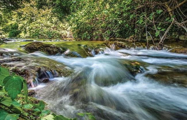 House Ela with pool - Foto 39