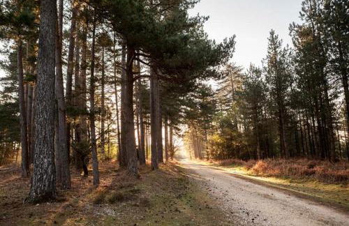 3 Bed in Brockenhurst oc-l30942 - Foto 23