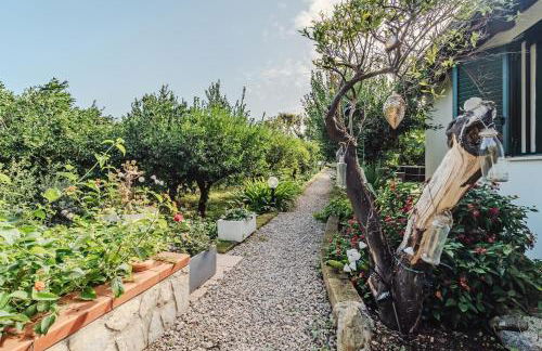 Duplex House - Foto 12