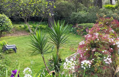 UN OASIS EN PROVENCE - Foto 39