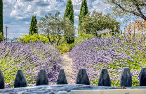 La Bastide des Oliviers Provence - Mirabel aux Baronnies - Foto 12