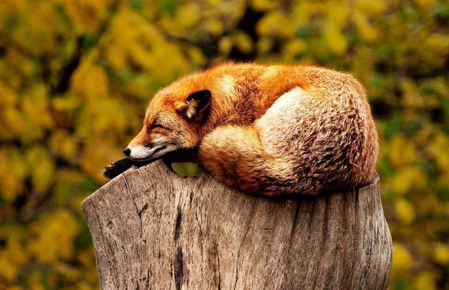 8 Person Holiday Home in Salen-by Traum - Foto 13