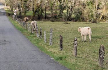 Vive una escapada rural con alma, cerca de todo y lejos del ruido - Foto 37